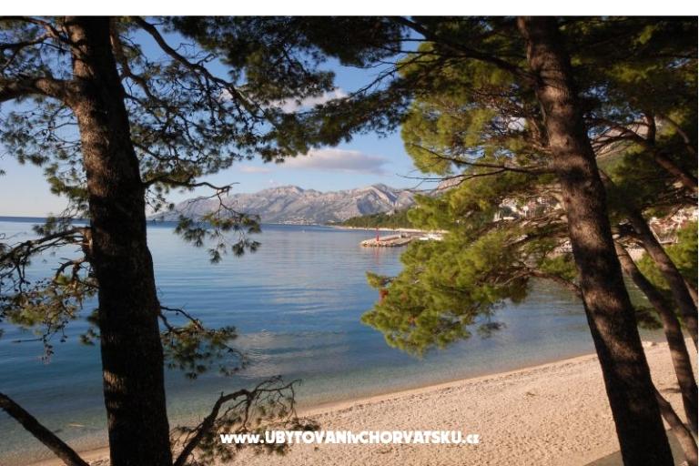 Dom Jurisic – foto 16