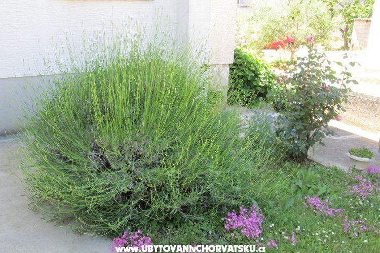 Apartmán Dara – foto 14