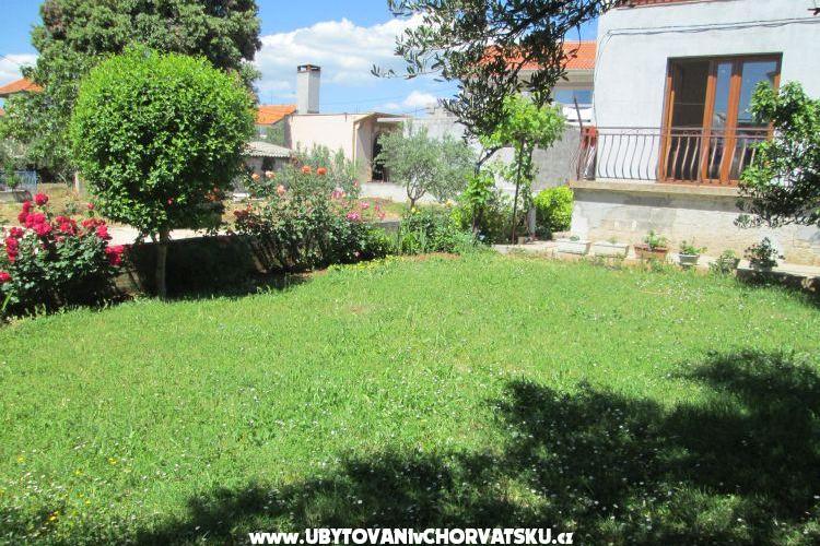 Apartmán Dara – foto 15