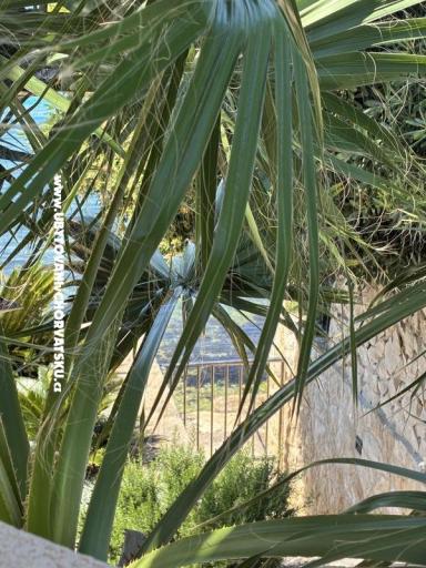 Apartmány Šime – foto 12