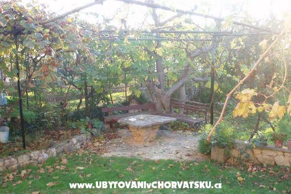 Apartmány and Dom Spika – foto 6