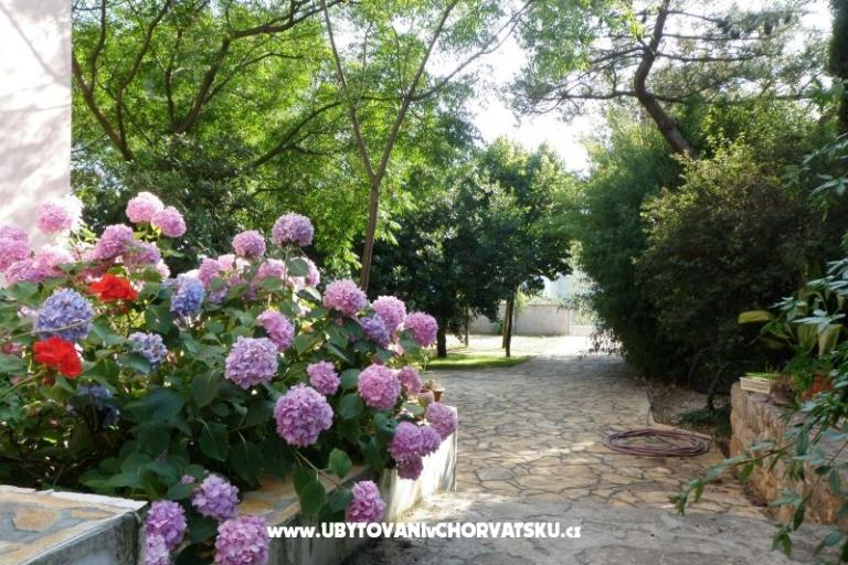 Apartmány Lolinka Bibinje – foto 12