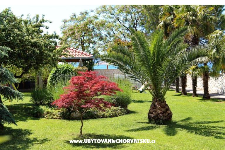 Dragan Apartmány – foto 5