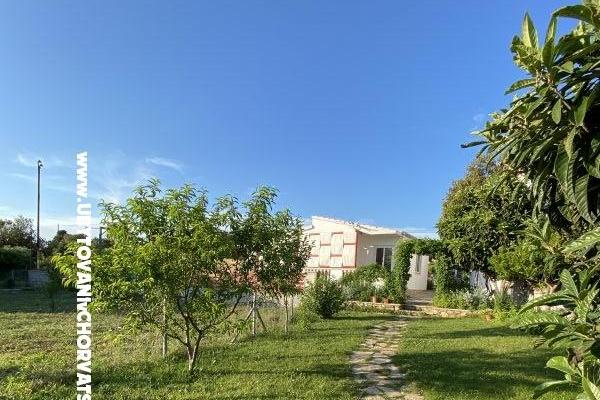 Emanuel Apartmány – foto 9