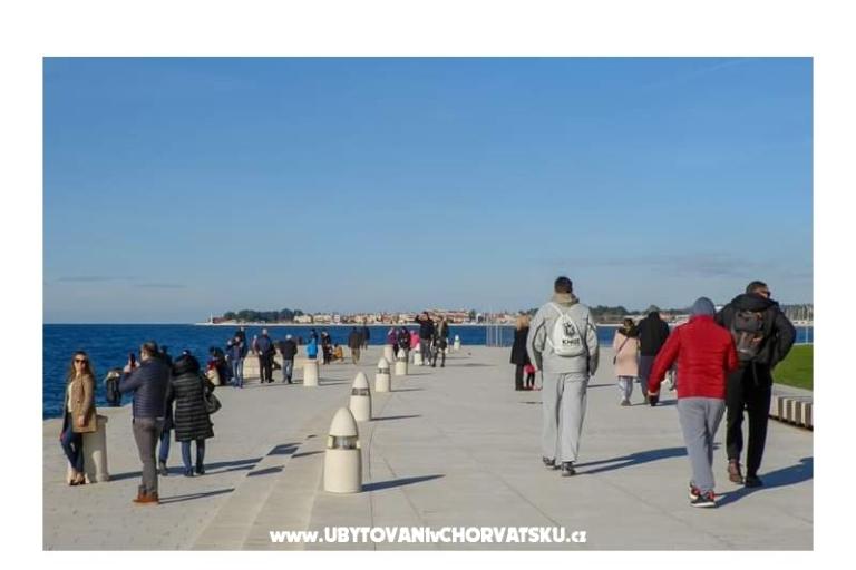 Prázdninový dom Roema – foto 16