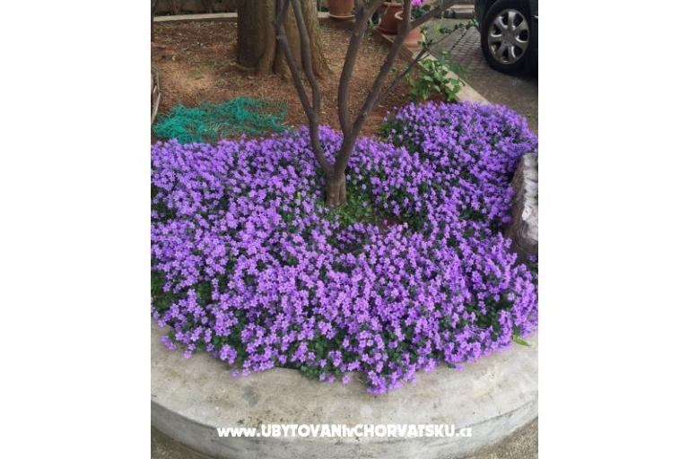 Apartmány Jurov – foto 11