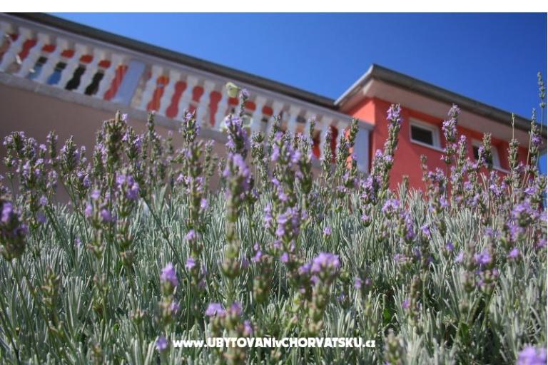 Apartmány Kus – foto 14
