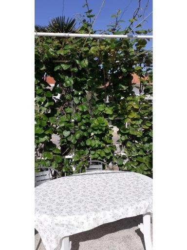Apartmány Margarita – foto 15