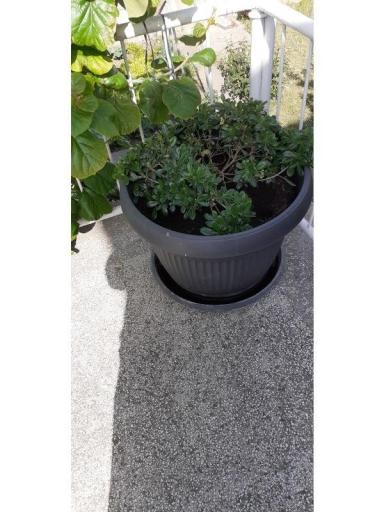 Apartmány Margarita – foto 2