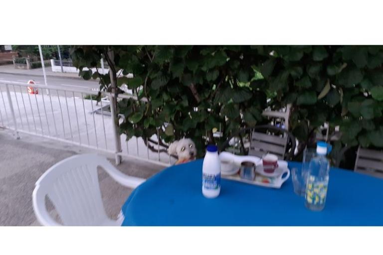 Apartmány Margarita – foto 4
