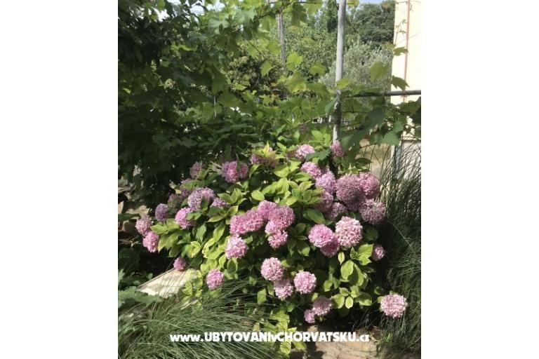 Apartmány Sunčana Dalmacija – foto 8