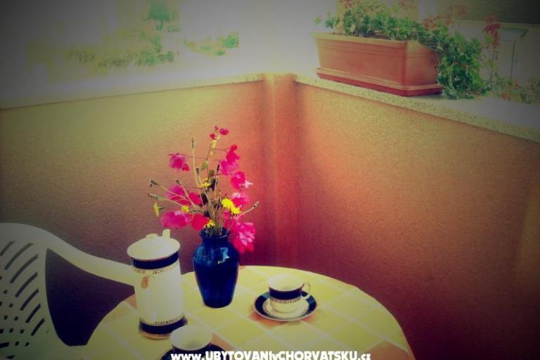 Apartmány Mimoza – foto 6