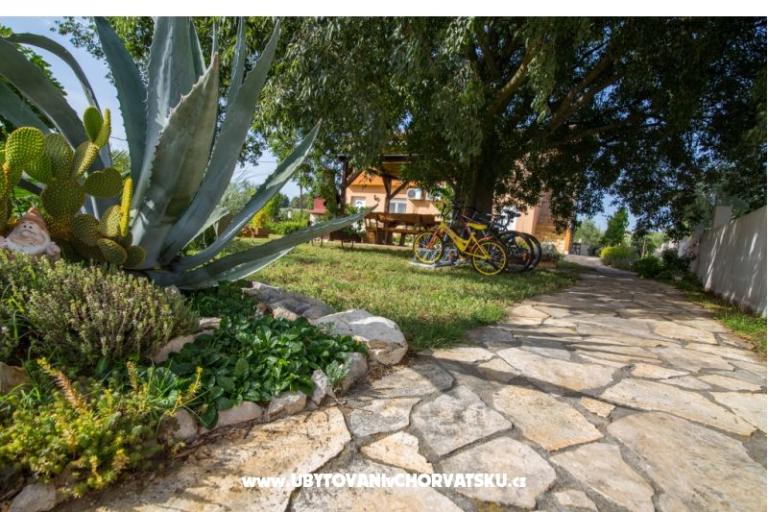 Studio apartmani Petra – foto 6