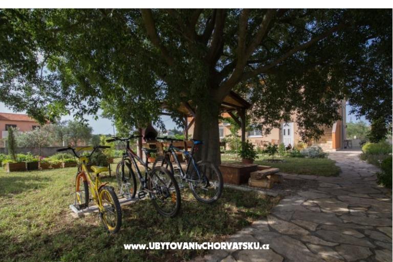 Studio apartmani Petra – foto 7