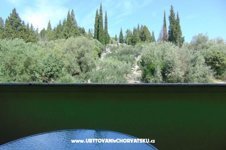 Apartmány 7+ – foto 11