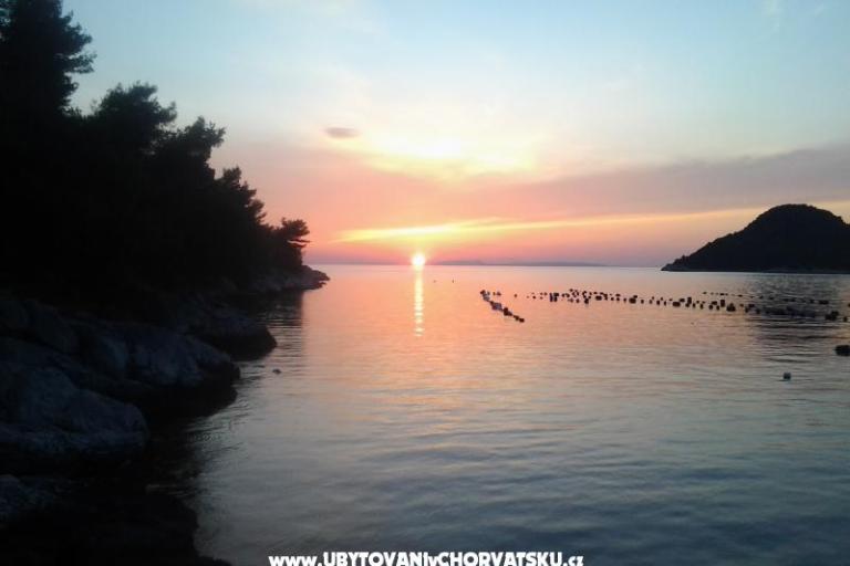 Villa Mala – foto 9