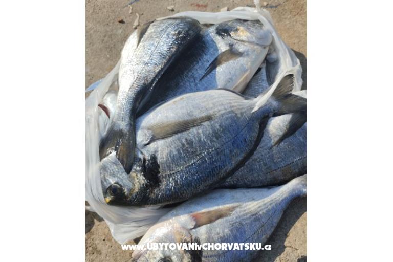 Apartmány Lala – foto 38