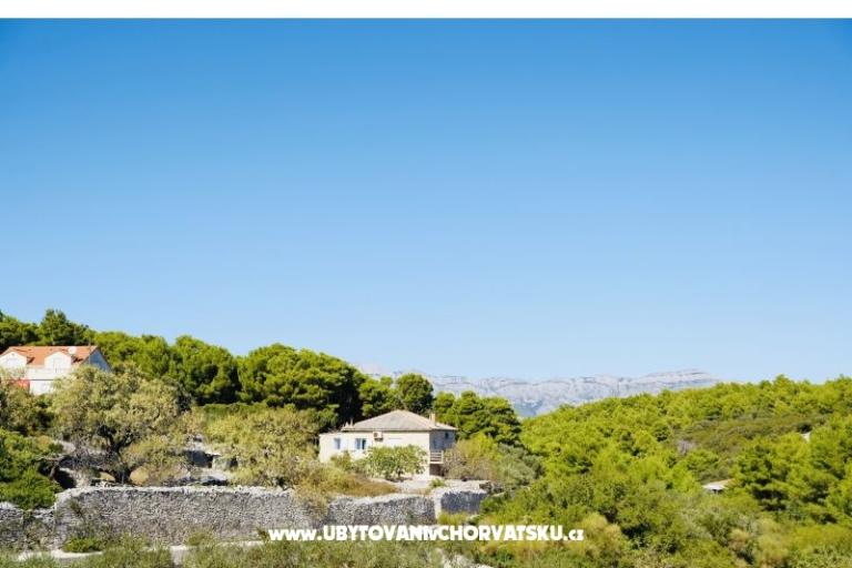 Apartmány Tonika – foto 12