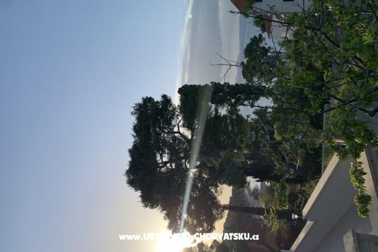 Apartmán Luš – foto 10