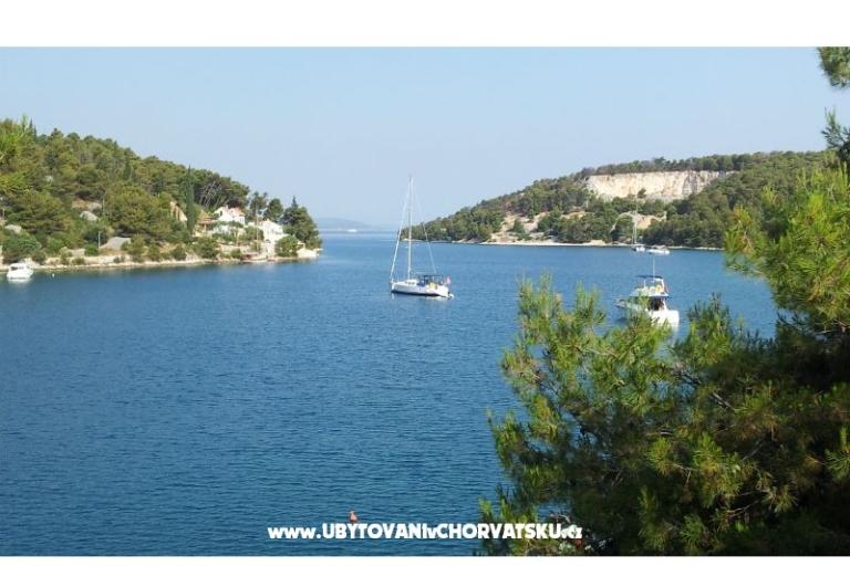 Villa Roza Bobovišče – foto 5