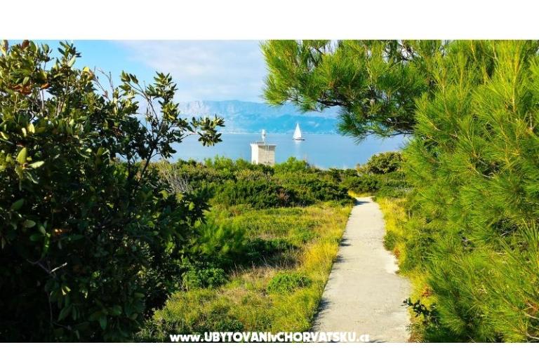 Prázdninový dom Doda uvala Tičja Luka – foto 18