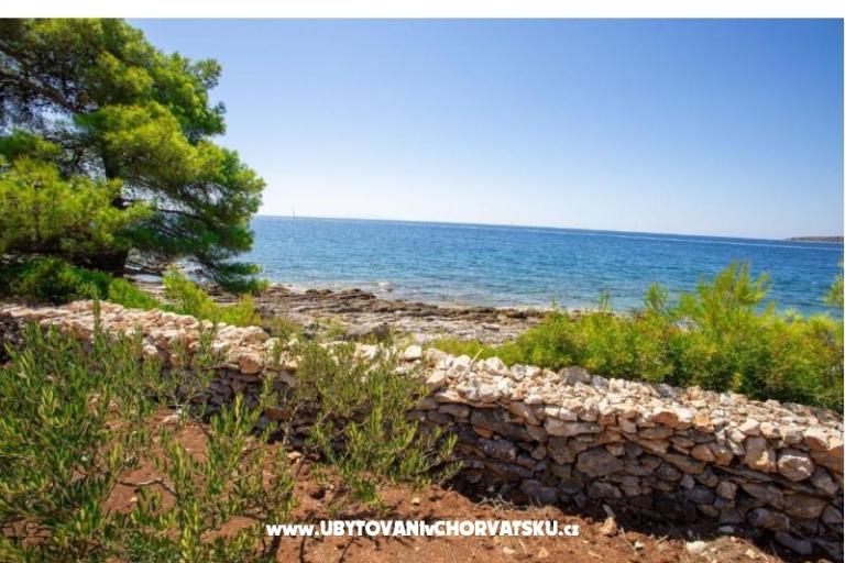 Family Dom Futura – foto 11