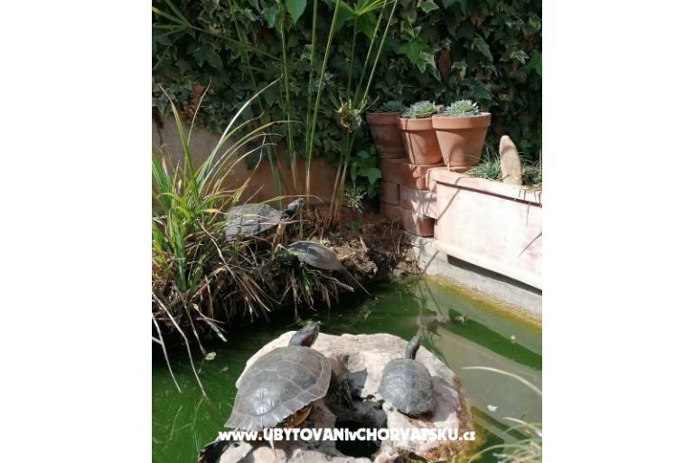 Apartmány Vesna – foto 12