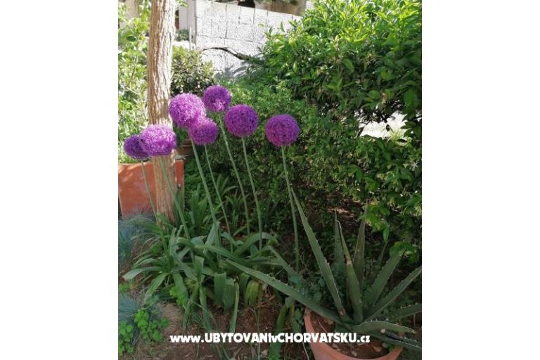 Apartmány Vesna – foto 23