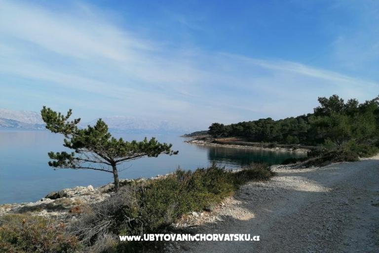 Apartmány Vesna – foto 24