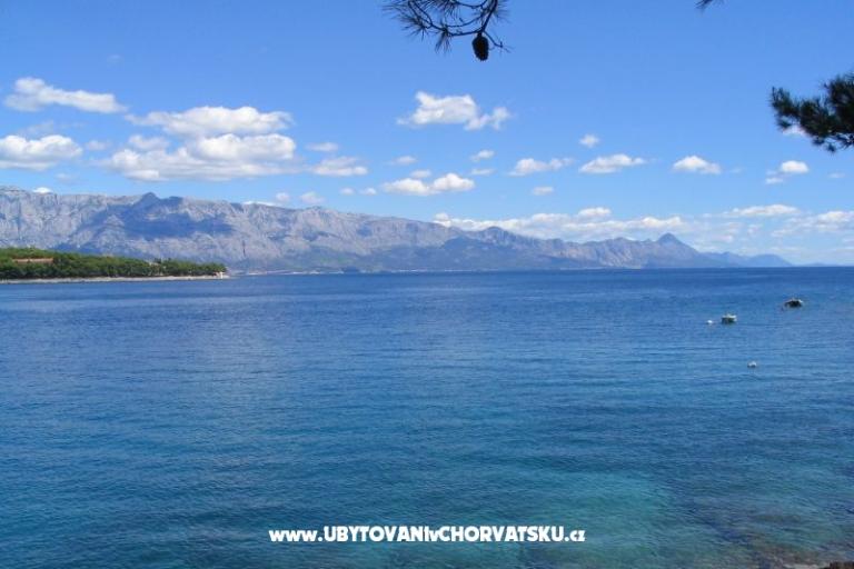 Sea Dom – foto 18