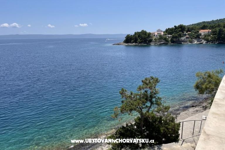 Villa Bilić – foto 20