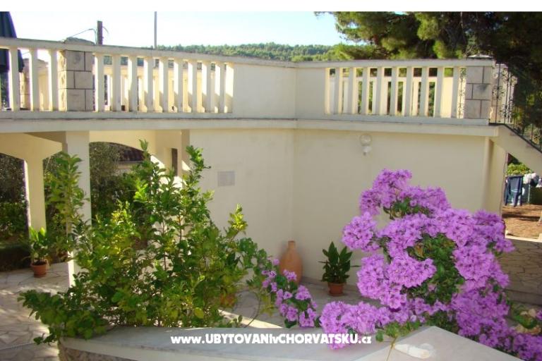 Villa Magda – foto 8