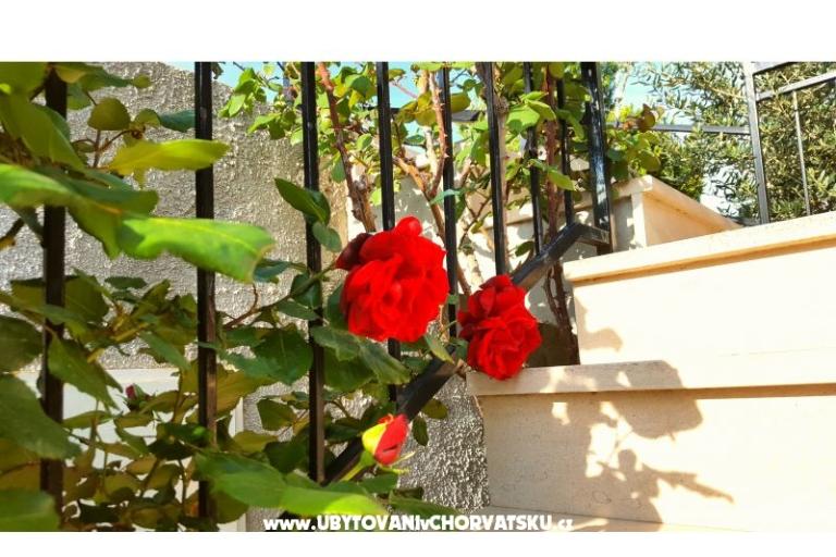 Apartmány Bezma – foto 3