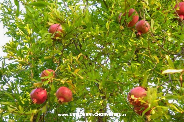 Villa PINA - Selca – foto 14