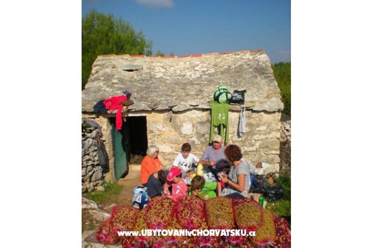 Villa PINA - Selca – foto 17