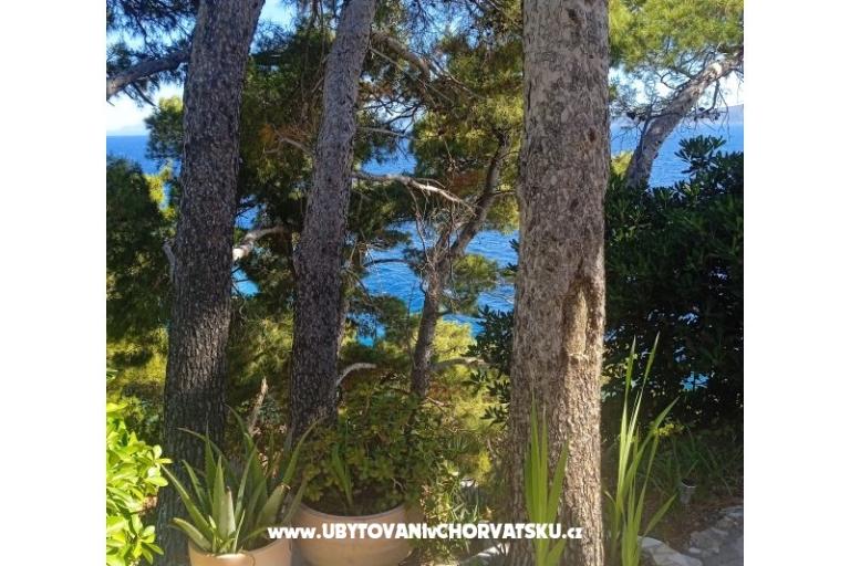 Accommodation Leon – foto 16