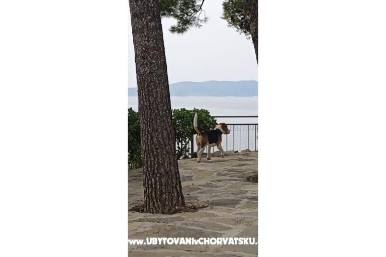 Accommodation Leon – foto 21