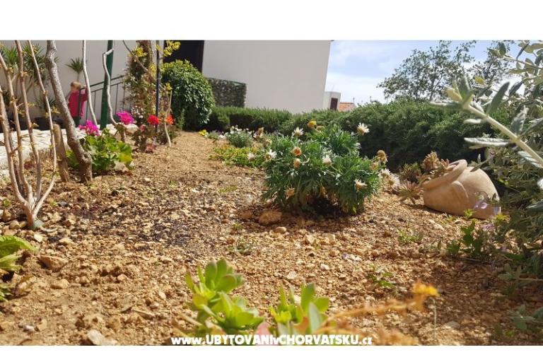 Apartmány Tomas Brela – foto 6