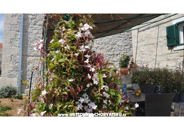 Apartmány Tomas Brela – foto 7