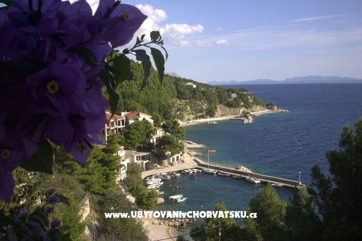 Apartmány Jagoda – foto 3