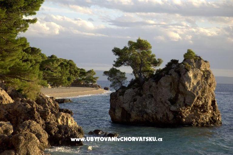 Apartmány Jagoda – foto 8