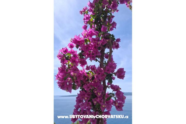 Apartmán Renata – foto 16