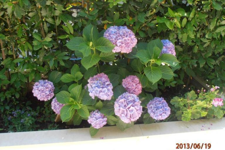 Apartmán Renata – foto 17