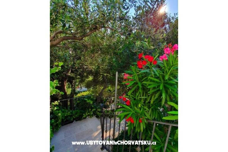 Apartmán Renata – foto 5