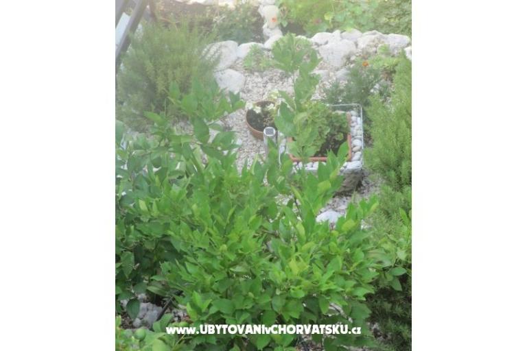 Apartmány  Ivo Pikolo – foto 18