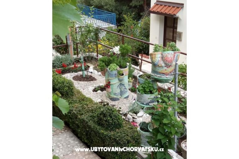 Apartmány  Ivo Pikolo – foto 5