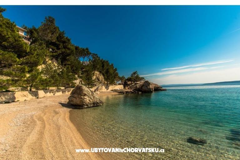 Pine Canopy Studios and Apartmány – foto 12