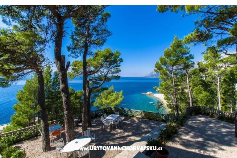 Pine Canopy Studios and Apartmány – foto 15