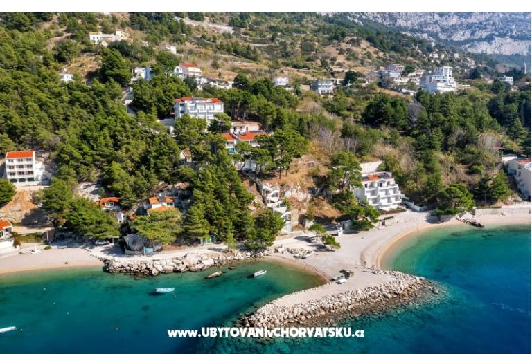 Pine Canopy Studios and Apartmány – foto 6