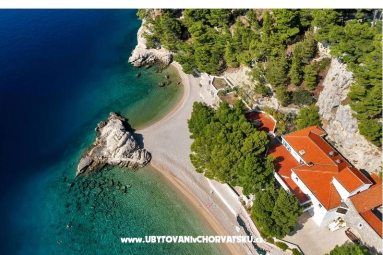 Pine Canopy Studios and Apartmány – foto 8